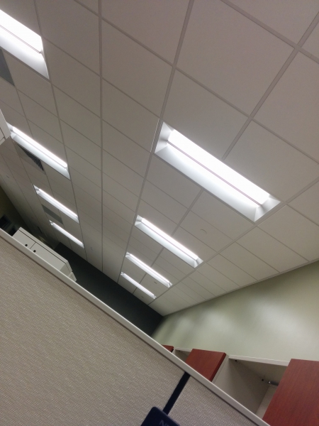 IMG_20150420_204115.jpg